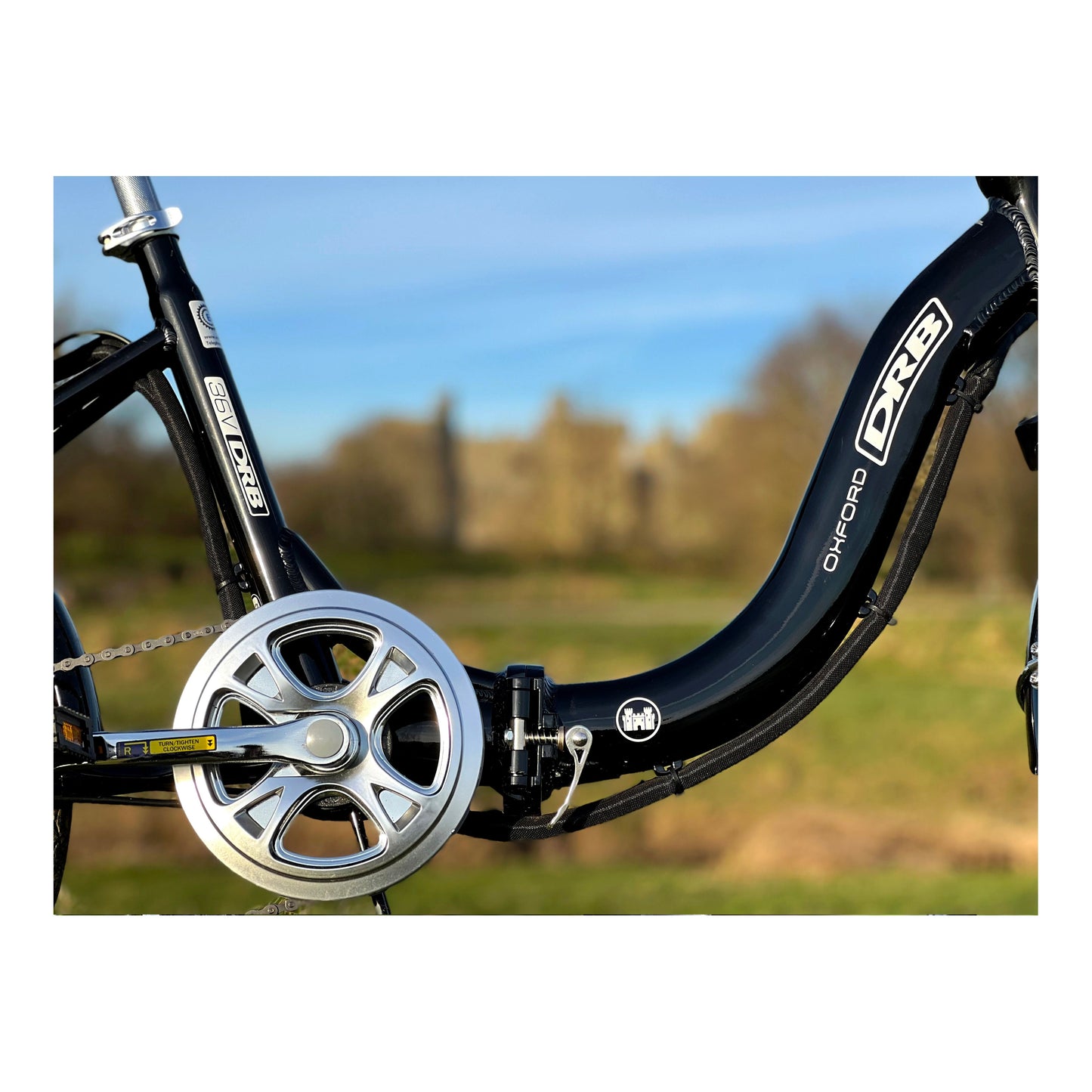 Dallingridge Oxford Folding Electric Bike - Gloss Black