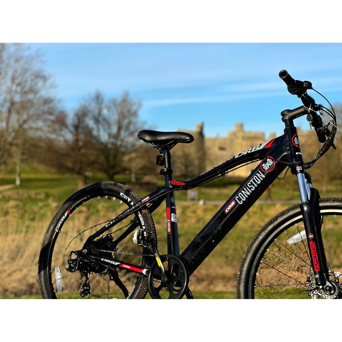 Dallingridge Coniston Hardtail Electric Mountain Bike - Black/Red